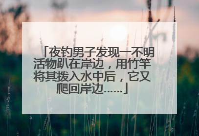 夜钓男子发现一不明活物趴在岸边，用竹竿将其拨入水中后，它又爬回岸边……